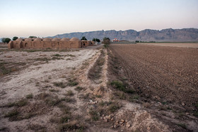 نمایی از زمین های کشاورزی رها شده روستای خالی از سکنه افتخاریه